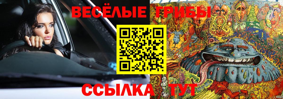 Галлюциногенные грибы Magic Shrooms Новороссийск