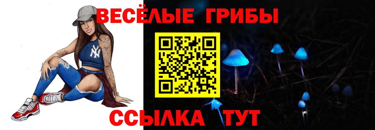 Галлюциногенные грибы Psilocybe  Вход с VPN  Новороссийск  Галлюциногенные грибы Psilocybine cubensis 